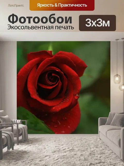 Фотообои Красная роза