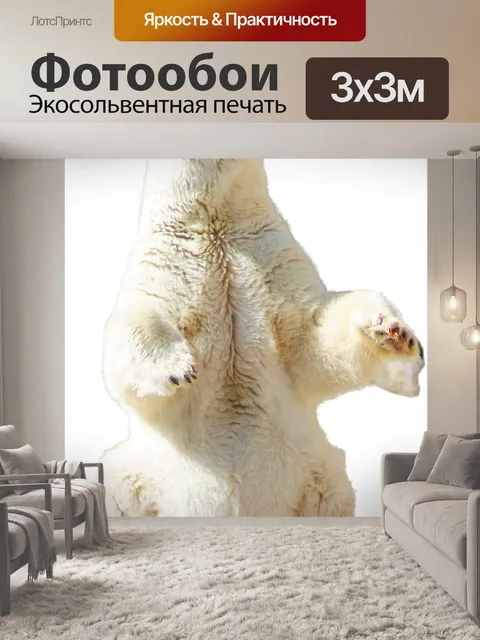 Фотообои Полярный