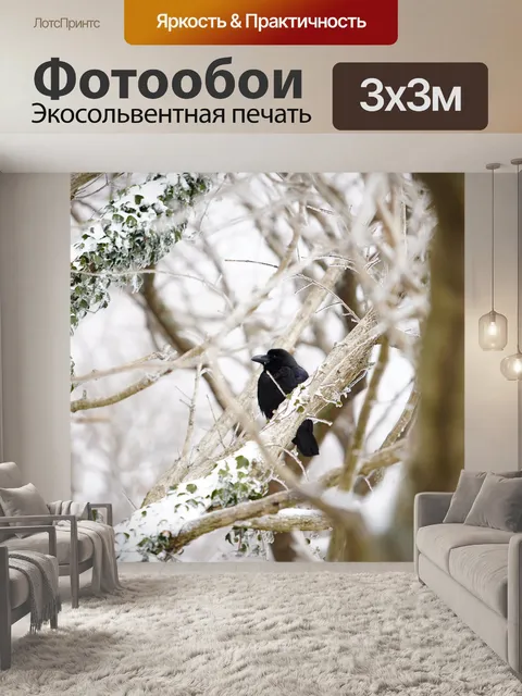 Фотообои Снег