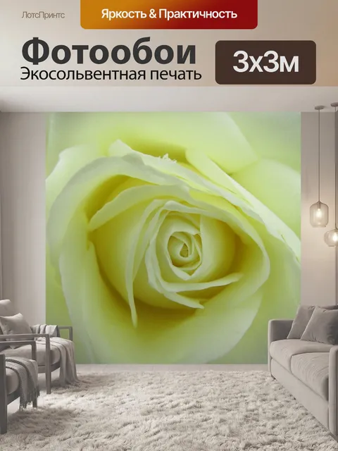 Фотообои Роза