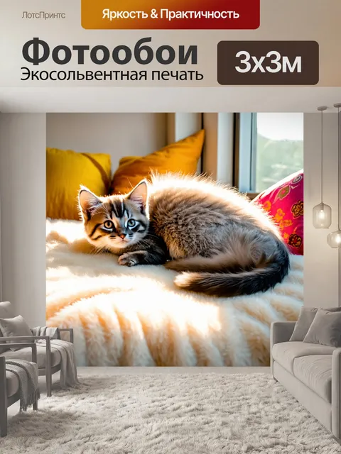 Фотообои котик, уютно свернувшийся на мягком пледе у окна, где солнечные лучи мягко освещают его пушистую шерсть, с…