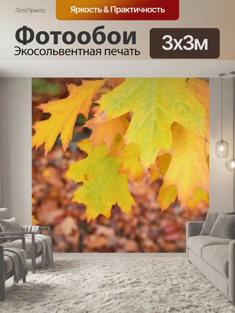 Фотообои Осень