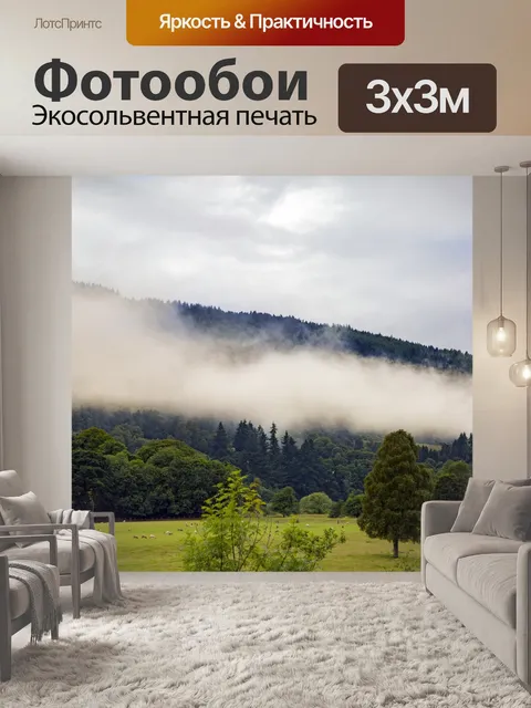 Фотообои Утренний лес