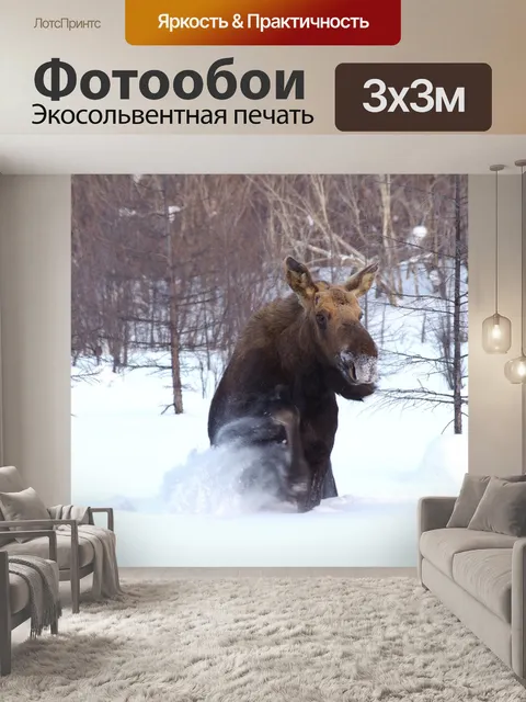 Фотообои Лось