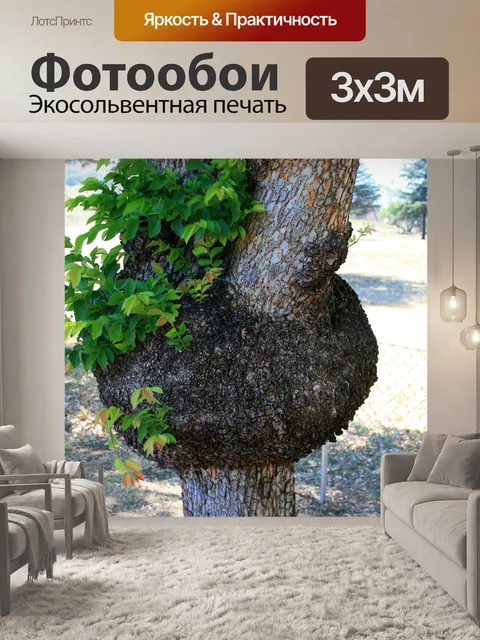 Фотообои Дерево