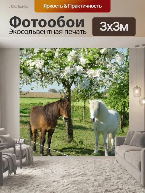 Фотообои Лошади