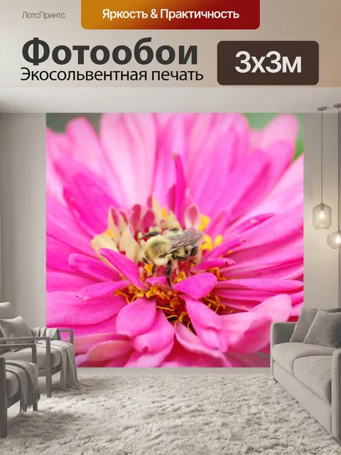 Фотообои Розовый