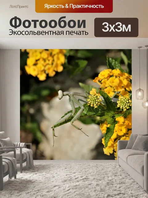 Фотообои Богомол на желтых цветках