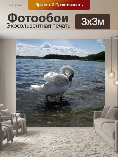 Фотообои Лебедь