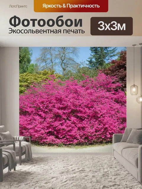 Фотообои Розовый цветущий куст