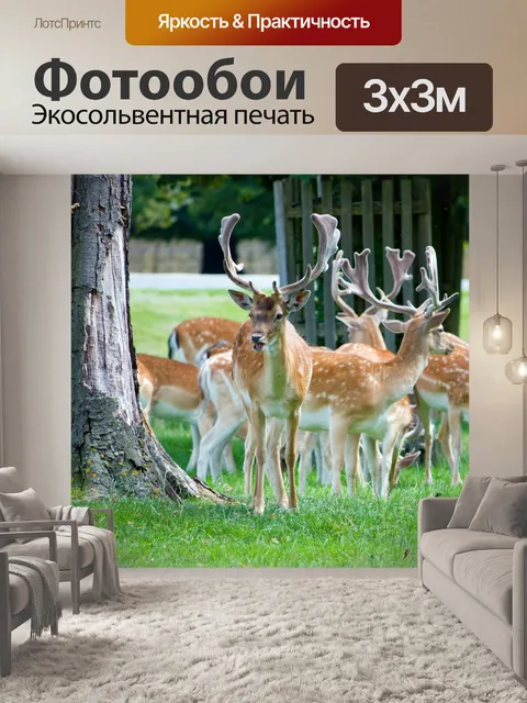 Фотообои Олень Стадо