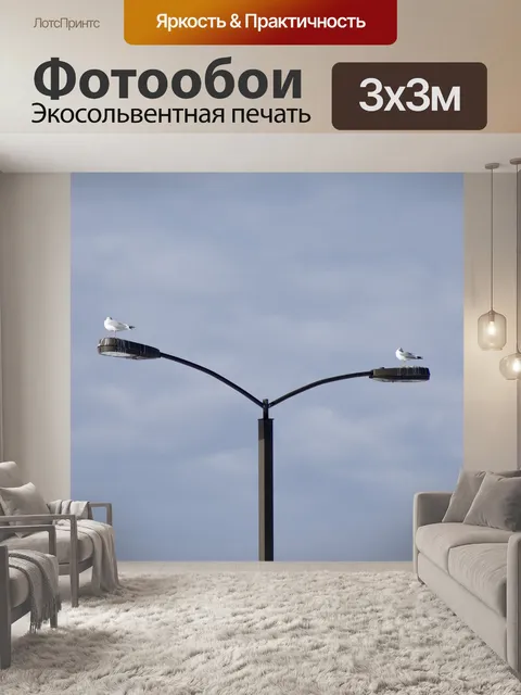 Фотообои Посадка