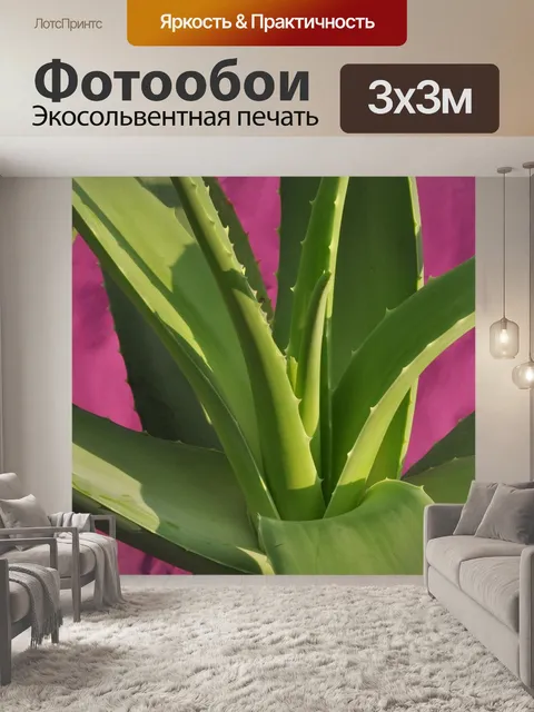 Фотообои Алоэ вера