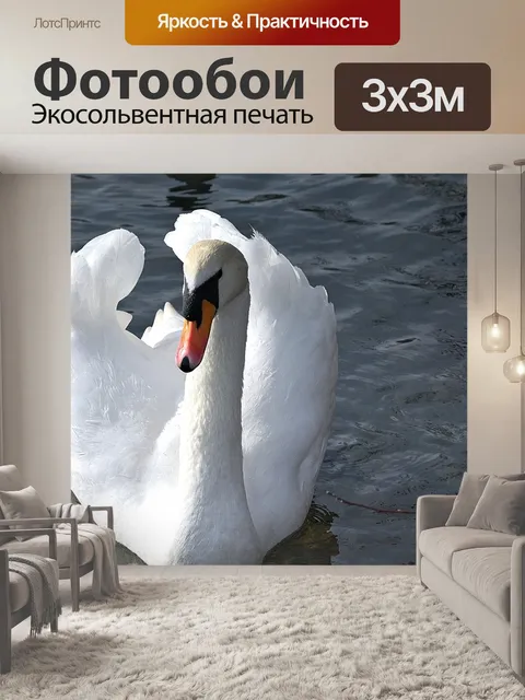 Фотообои Лебедь