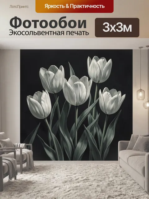 Фотообои Белые тюльпаны на темном фоне
