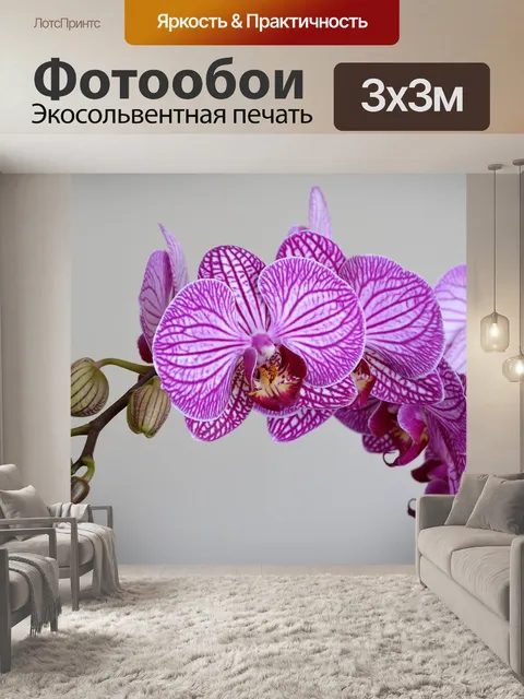 Фотообои Орхидея