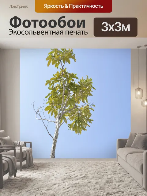 Фотообои Дерево