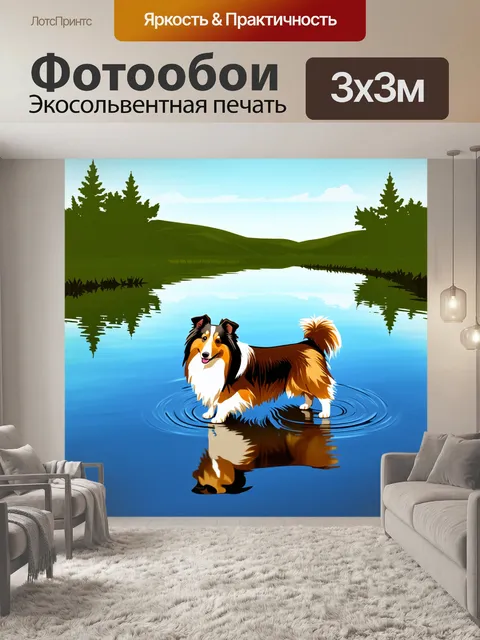 Фотообои изображение шелти, играющей на берегу озера с отражением неба в воде