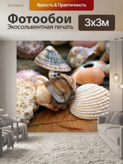 Фотообои белых раковин и кораллов