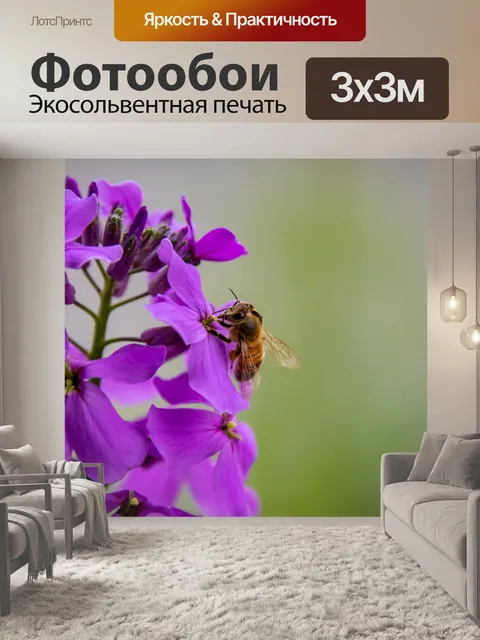Фотообои Медоносная пчела, фиолетовый цветок