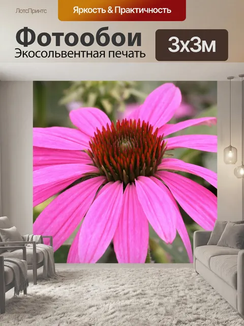 Фотообои Розовый Василек крупным планом 3