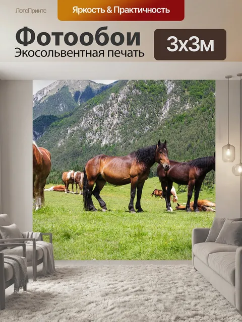 Фотообои Лошади