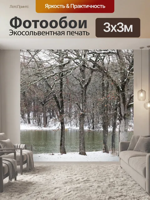 Фотообои Снежный пруд в лесу