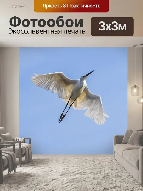 Фотообои Птица