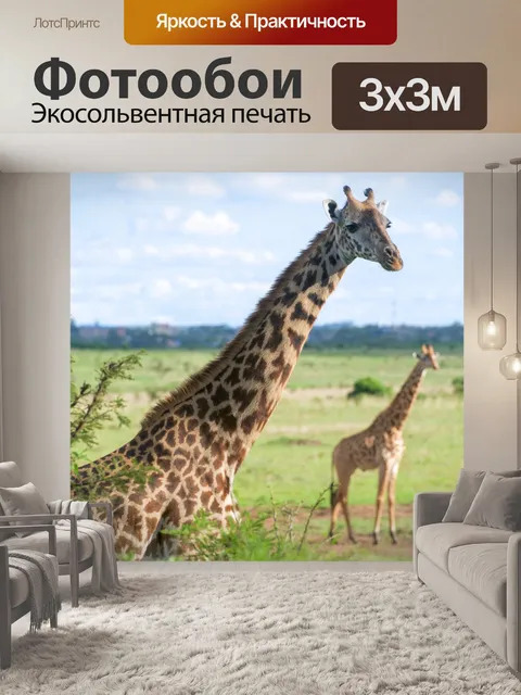 Фотообои Дикие жирафы