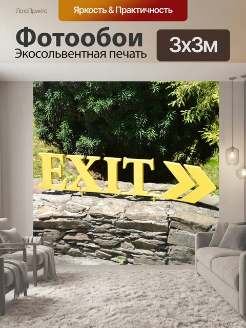 Фотообои Выход