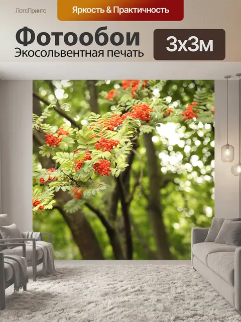 Фотообои Гроздья рябины