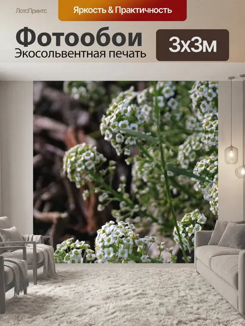 Фотообои близкий вид медовых цветов