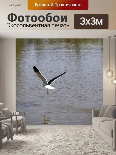 Фотообои Птица