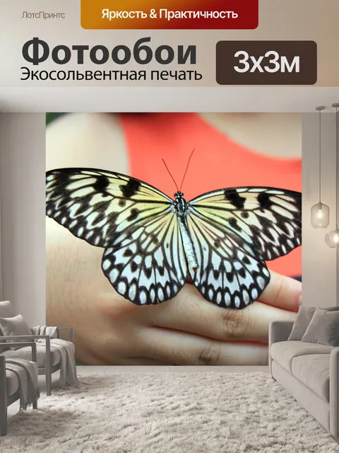 Фотообои Бабочка