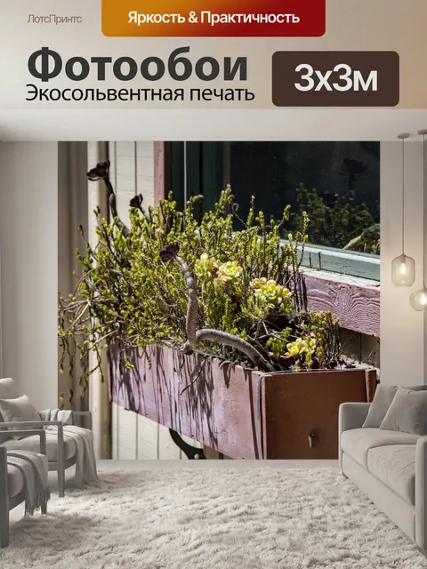 Фотообои сочная цветочная коробка