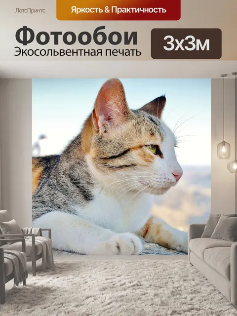 Фотообои Кошка