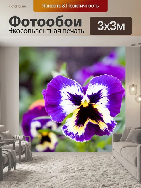 Фотообои Фиолетовые анютины глазки