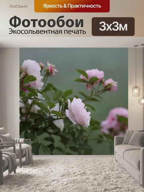 Фотообои Роуз
