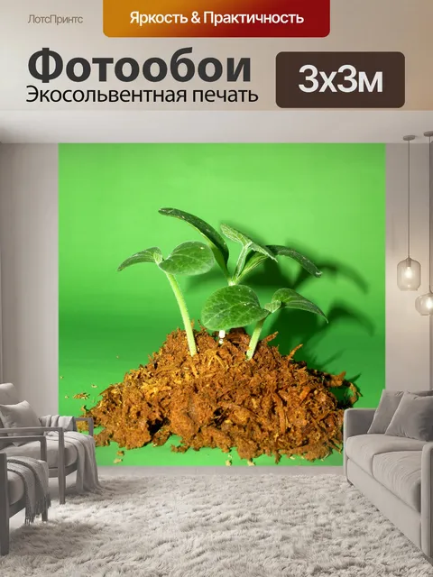 Фотообои Молодое дерево