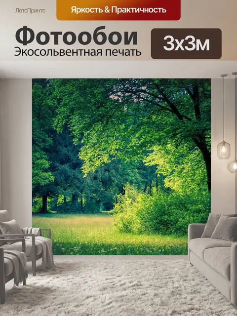 Фотообои Лес