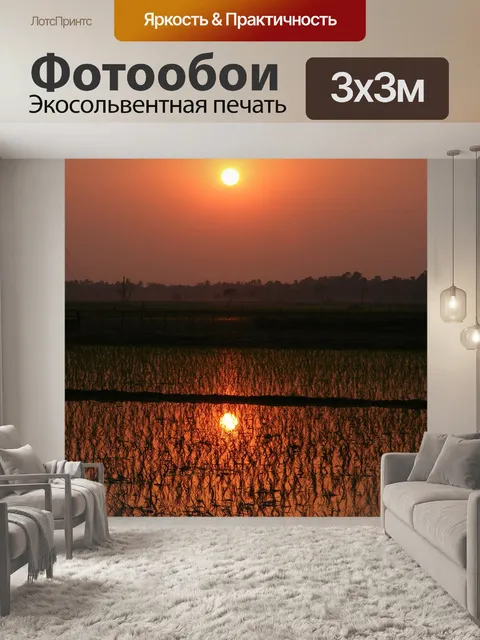 Фотообои Пэдди