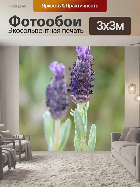 Фотообои Цветок