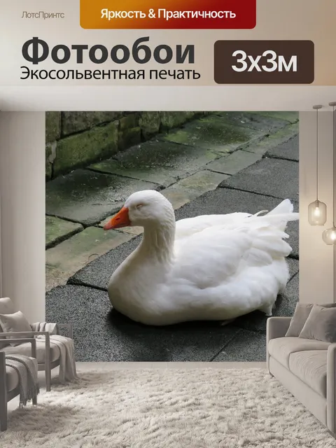 Фотообои Гусь
