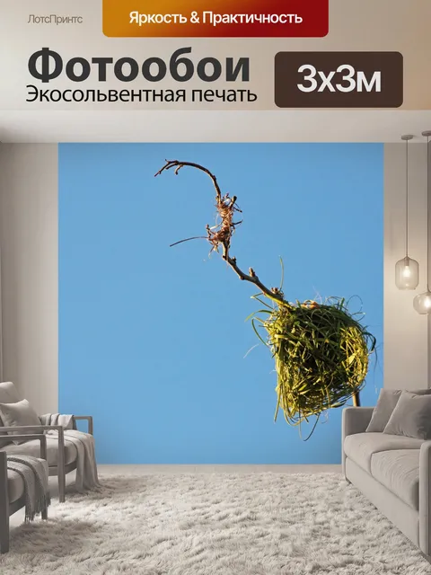 Фотообои частично построенное гнездо ткача