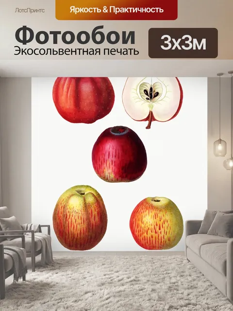 Фотообои Фрукты яблоки винтаж старый
