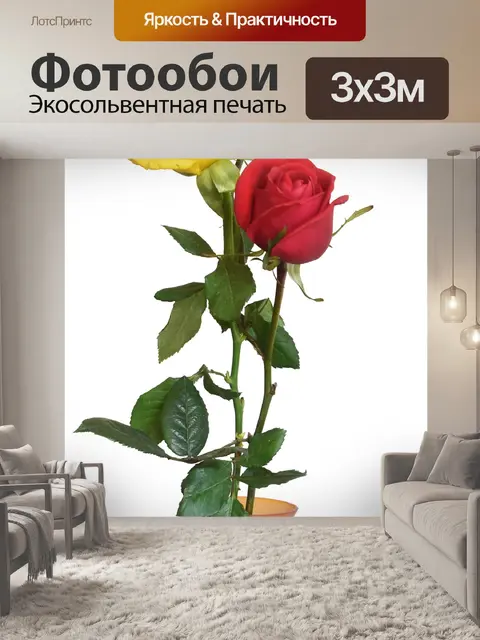 Фотообои Красные желтые розы