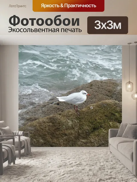 Фотообои Чайка у моря
