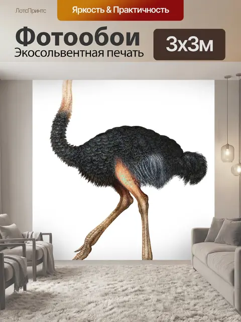 Фотообои Винтажный арт-страус