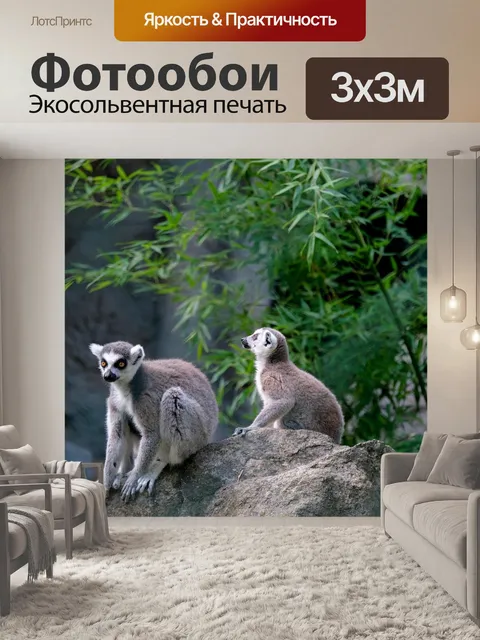 Фотообои Кошачие лемуры