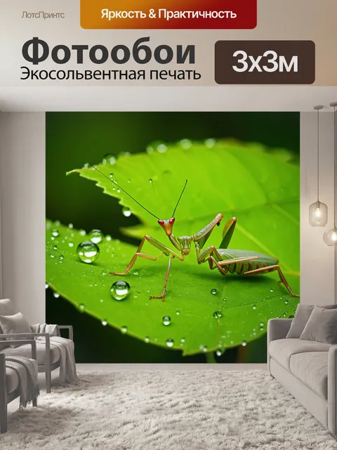 Фотообои богомол, сидящий на ярком зеленом листе, окружённый каплями росы, как будто застывший в мгновении